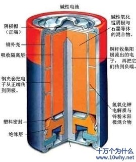 勁量鹼性電芯aa 20 4 粒裝 堅貓商城k Mall
