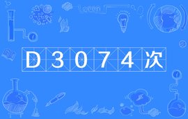 D3074次