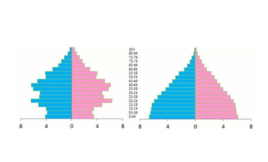 夏威夷人口结构_从人口结构看普查数据,性别失衡男比女多16 ,更大的问题来临