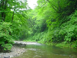 白神山地 360百科