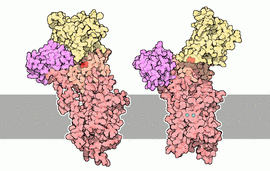 钙离子通道_360百科