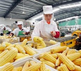 食品加工业  免费编辑   添加义项名