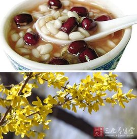 麻黃連軺赤小豆湯