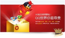 qq钻皇