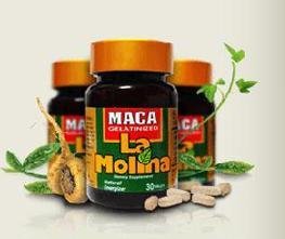 MACA