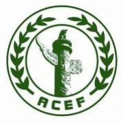 中华环保联合会能源环境专业委员会