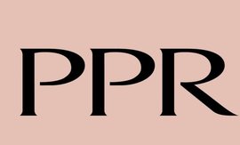 ppr集团
