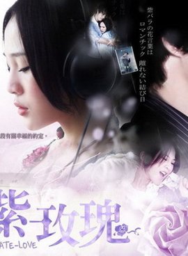 紫玫瑰 360百科 紫玫瑰 360百科