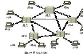网状结构
