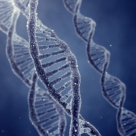 遗传学三大基本定律