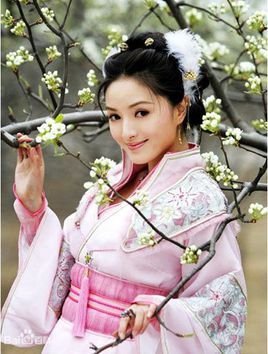 安康公主 - 唐太宗第十四女  免行某略我倍树通械技费编辑   修改义项名