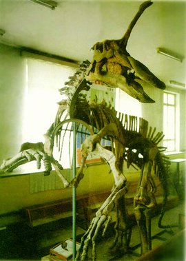 40级青岛龙侏罗纪世界图片