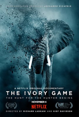 象牙的游戏 / The Ivory Game海报