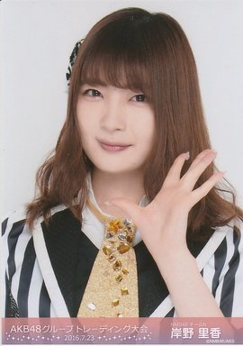 岸野里香 360百科