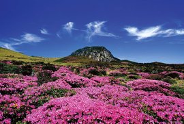 瀛洲 - 传说来自中的东海仙山  免费编辑   修改义项名