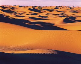 沙漠气候