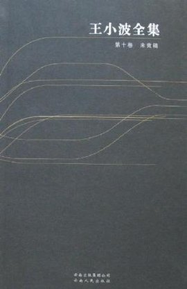 王小波全集(第十卷):未竟稿