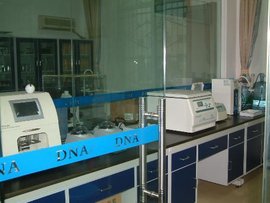 私下做的亲子鉴定结果可以作为证据吗?