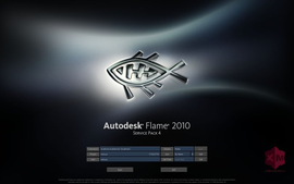 autodesk flame video editing