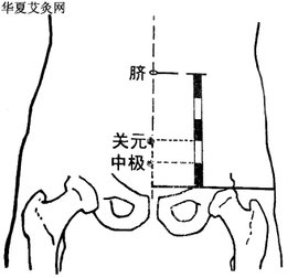 中极_360百科