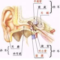 鼓膜充血  免费编辑   添加义项名