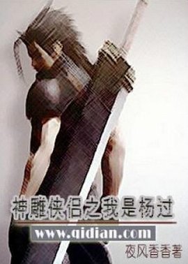 神雕侠侣之我是杨过