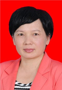 程凤英广东省阳江市政府副市长