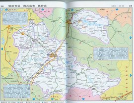 电商之光:铁岭县如何点亮区域经济新未来