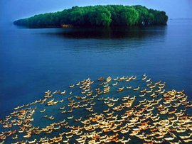 中国淡水湖资源