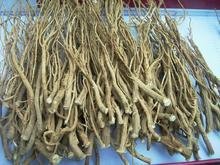 柴胡_360百科