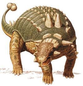 多智龙(恐龙)多智龙(属名:tarchia)是最年轻的亚洲