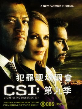 犯罪现场：拉斯维加斯第九季 / CSI犯罪现场(台)第九季海报