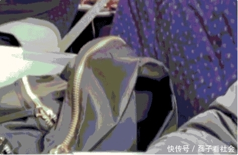 买火车票春运用什么好