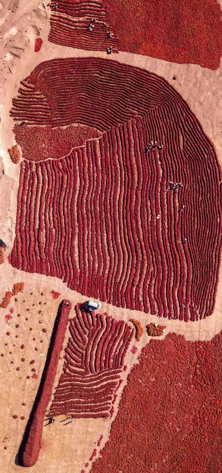 焉耆回族自治县图册_360百科