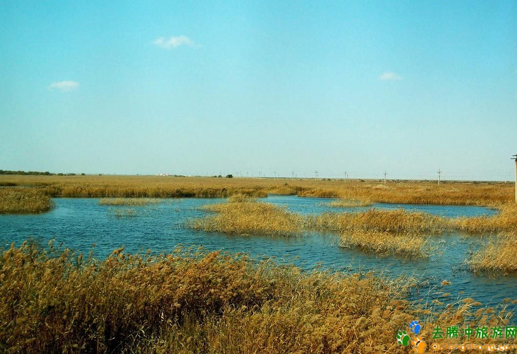 沼泽生态系统地理名词