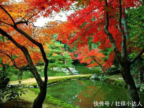 养老保险多少人参保