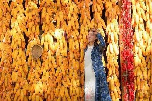 锌什么价格走势