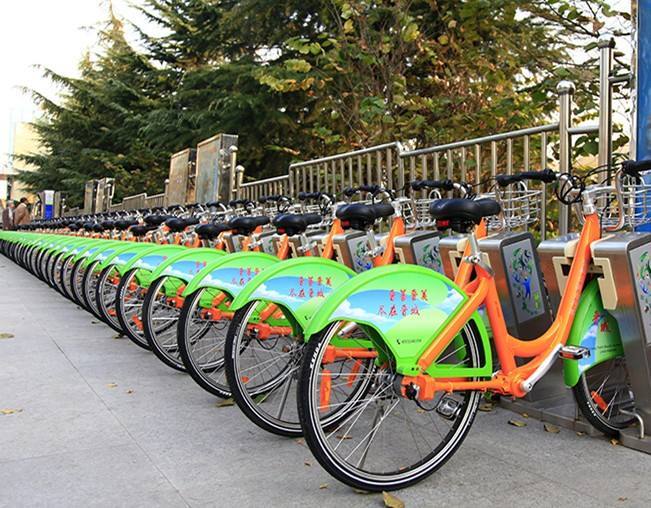 公共物品(资源科学 名词)