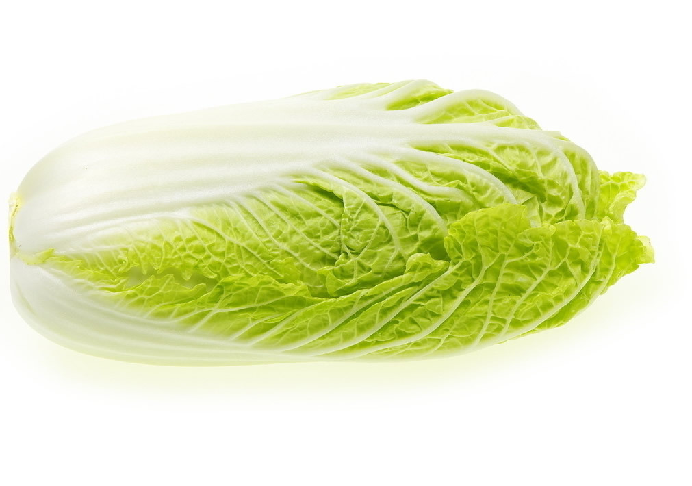 白菜 十字花科蔬菜 360百科