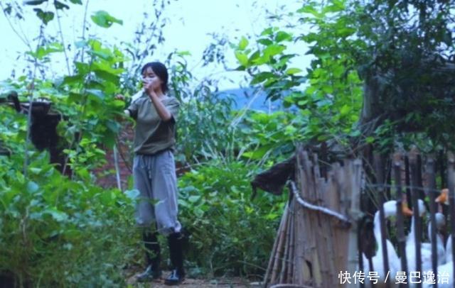 李子柒的生活环境