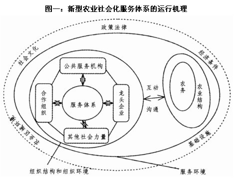 农业社会化服务组织包含哪些重要类型