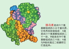 可的松_360百科