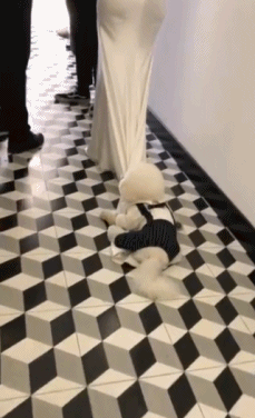 没见过这个你就