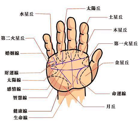 健康线穿过生命线图图片