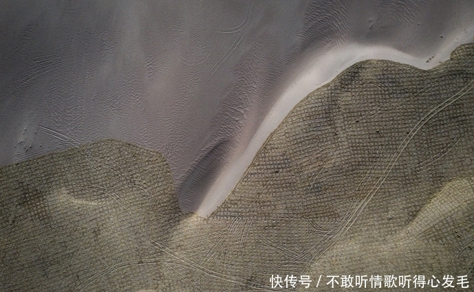 蚂蚁在联合国获得什么奖