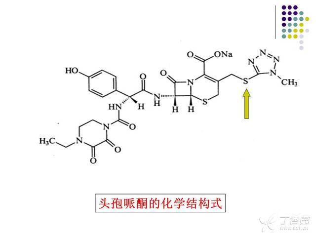 双硫仑图册_360百科