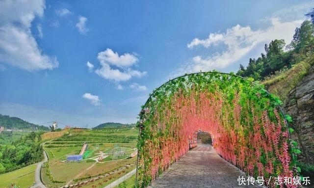 一起出发吧在哪个平台播出