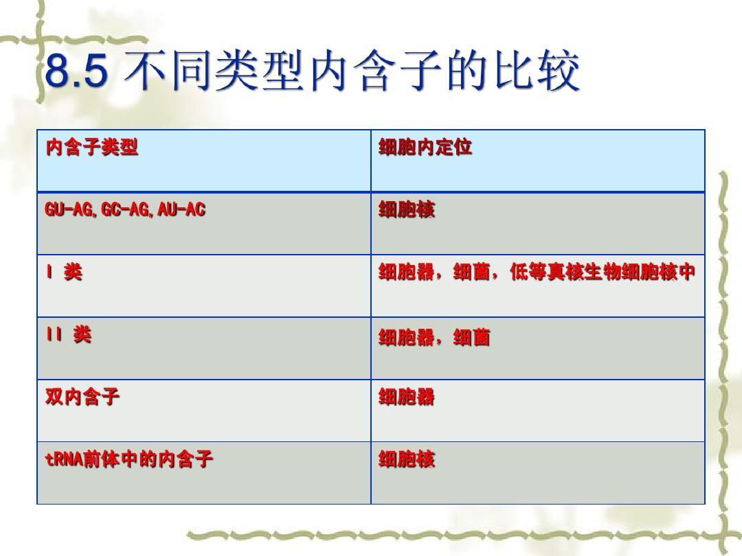 主蕴涵项是什么