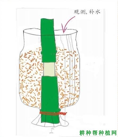 压条_360百科