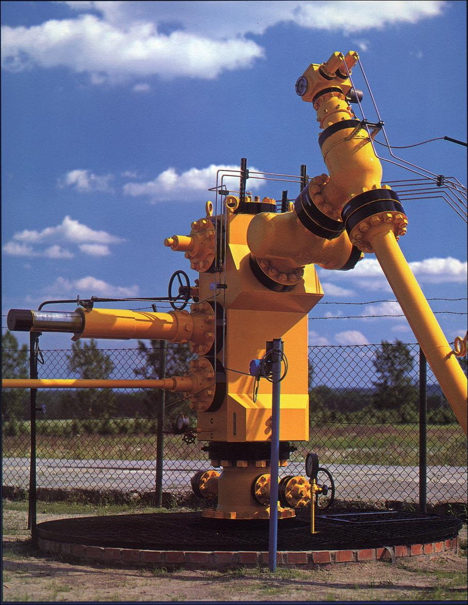 井口装置(设备 | 石材)